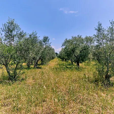 Nel Cuore Del Salento *
